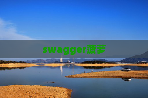 swagger菠萝